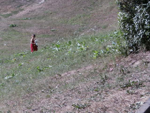 Babyn Yar ravine 2013 picnic site