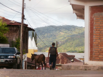 trujillo man with donkey in town honduras church history