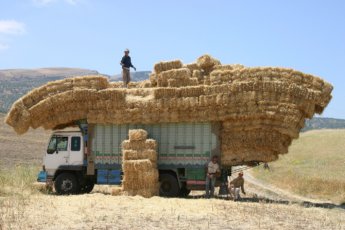 overloaded truck full of hay stacks bales dream hitchhiking travel Armenia