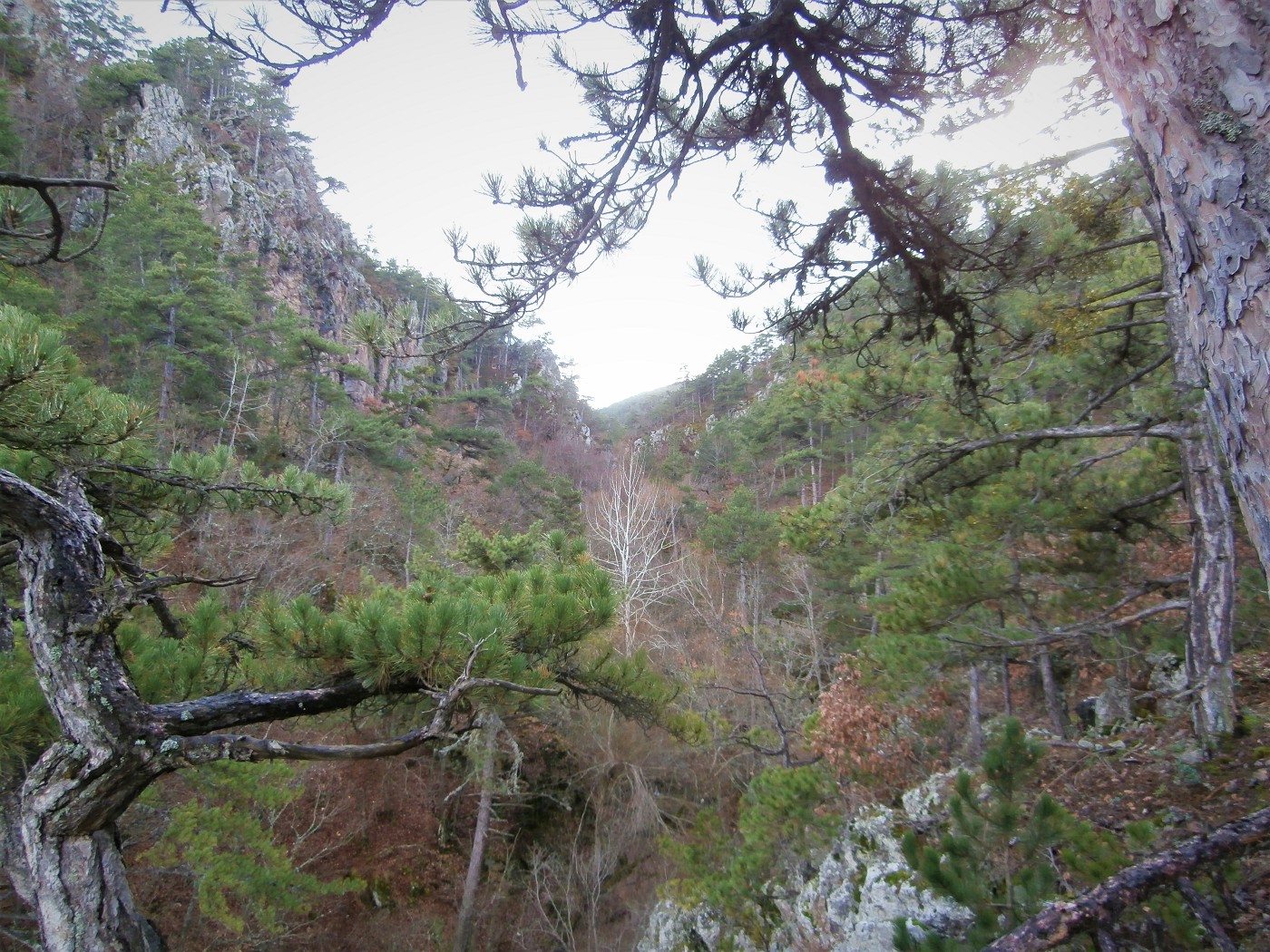 şelale Mesire Yeri Waterfalls Nearby Eskişehir 2