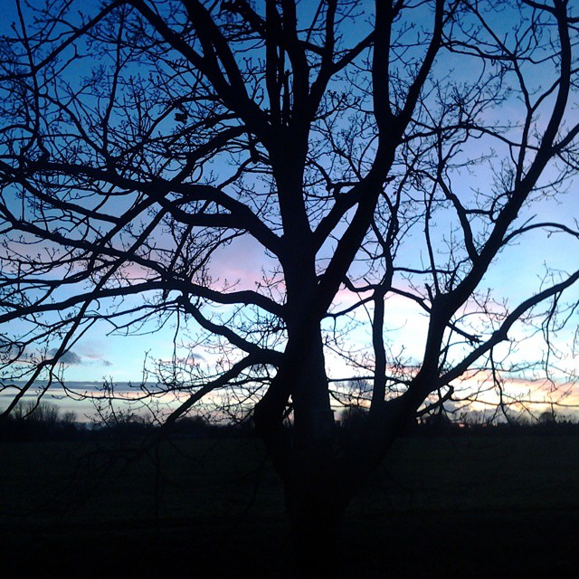 hometown sunset loosdrecht zonsondergang nederland the netherlands holland