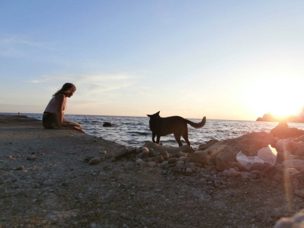 Kruče Montenegro beach sunset dog hitchhiking sea adriatic mediterranean balkan