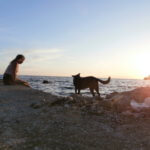 Kruče Montenegro beach sunset dog hitchhiking sea adriatic mediterranean balkan