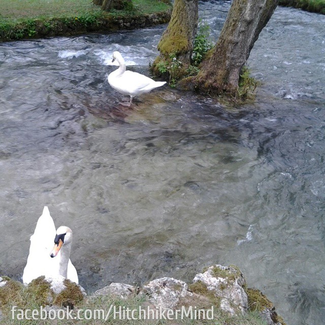 sarajevo bosnia and herzegovina vrelo bosne pond