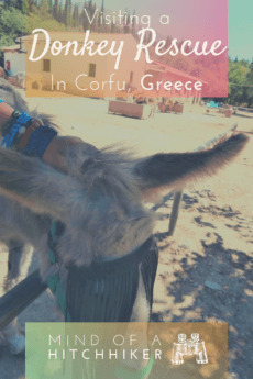 Corfu donkey rescue Greece Ionian islands animal shelter