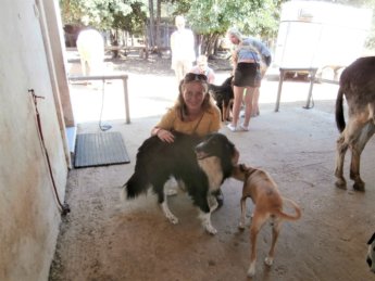 Corfu Donkey Rescue Greece 6