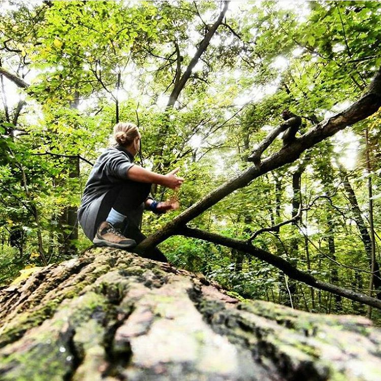 geocaching treeclimbing berlin treptow hitchhiking