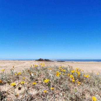 Cabo Polonio Uruguay hike sand dunes beach