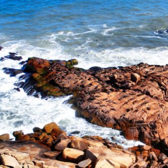 cabo polonio uruguay seals sea lions lobo rocks beach