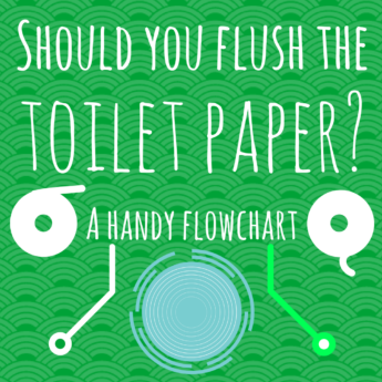 should you flush the toilet paper flowchart infographic world map