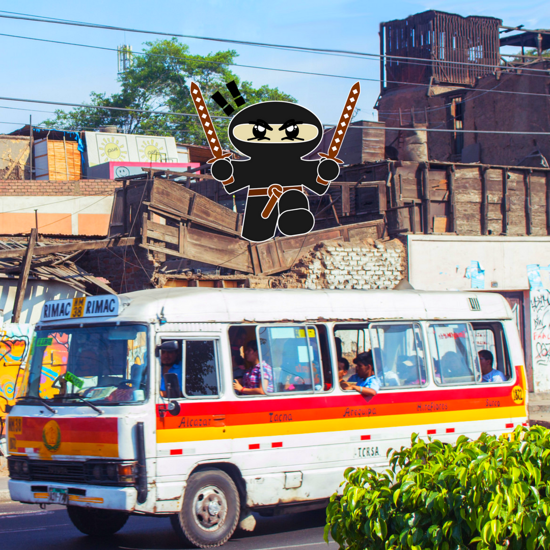 How to Become a Ninja of the Lima City Bus • Mind of a Hitchhiker