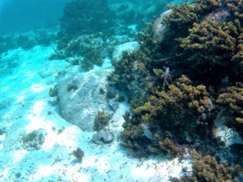 15 snorkeling Crab Cay Cayo Cangrejo Providencia Colombia