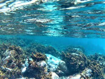 23 snorkeling coral reef Crab Cay Cayo Cangrejo Colombia