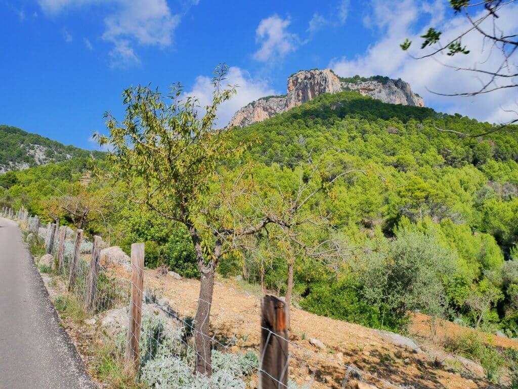 1 Scooter trip Castell d'Alaró Mallorca Spain Balearic islands