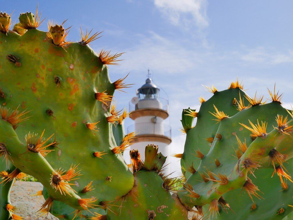 Mallorca Cap de ses Salines lighthouse