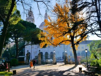 Jardim da Estrela Basilica