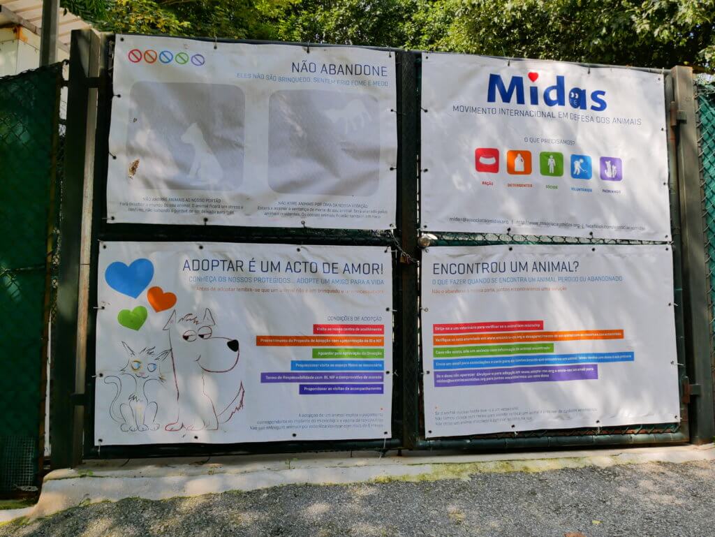 Midas Porto Portugal animal shelter gate