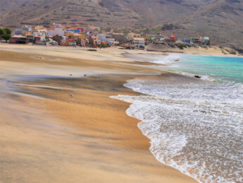 birdwatching bird sea atlantic ocean worm beach food São Pedro praia Cabo Verde Mindelo São Vicente