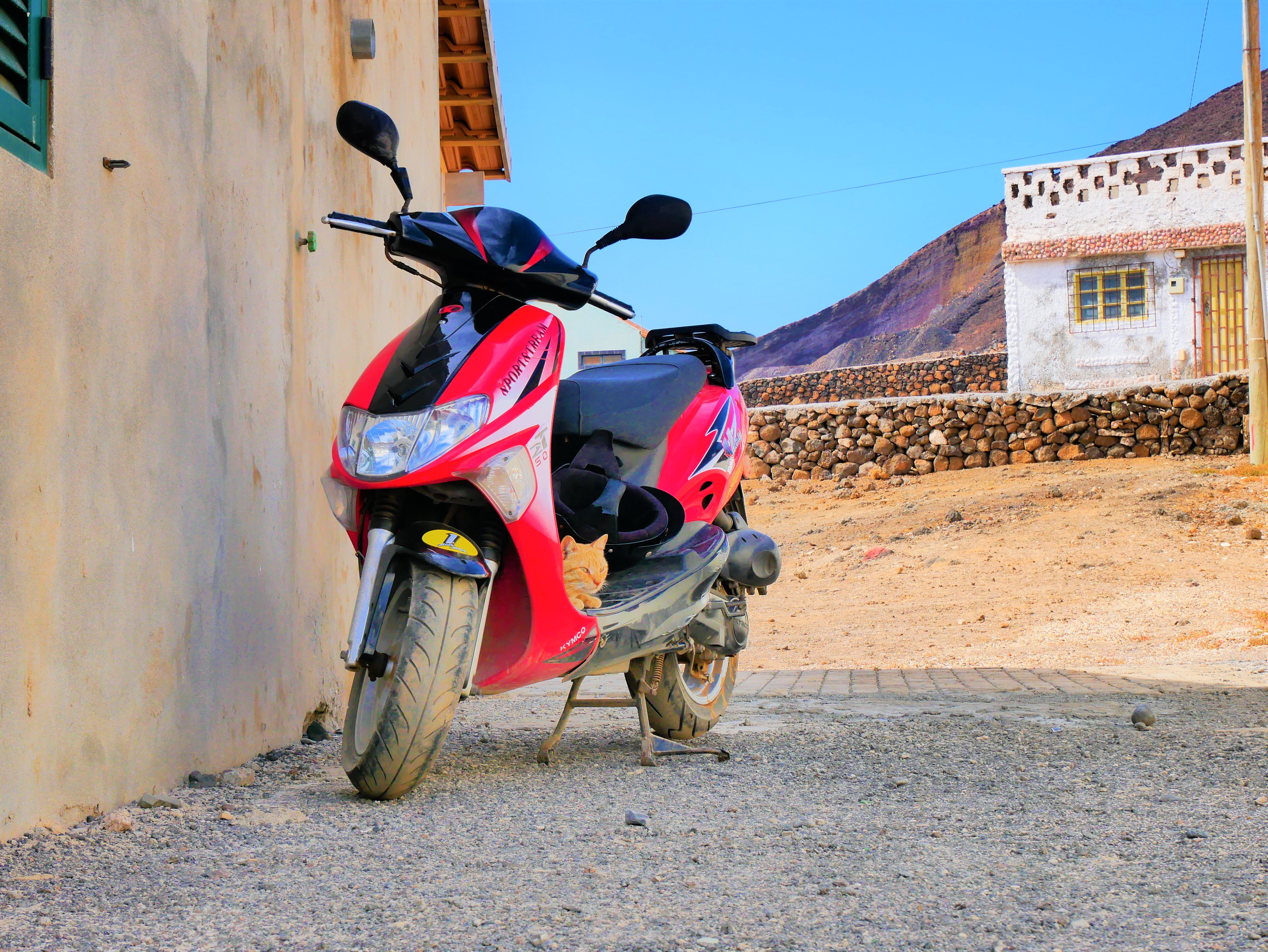 Rental scooter 50cc with cat São Vicente Cabo Verde Barlavento Calhau