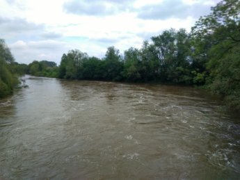 Stehbach side river donau danube rottenacker dam