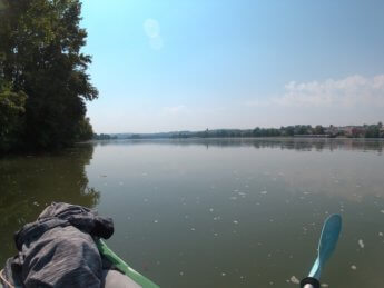 Kayak trip day 20 vilshofen an der donau passau 18