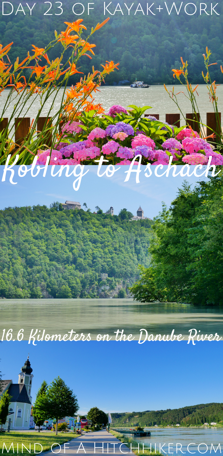 On day number 23, we paddled from the small village of Kobling to the bigger Aschach an der Donau. It was a very short day, but with lots of sights on the Danube river, such as castles and churches! #Donau #Danube #kayak #canoe #Kobling #Aschach #AschachanderDonau #digitalnomad #Austria #Österreich #Osterreich #Neuhaus #Schloss #castle #Europe #Mühlviertel #upperaustria #oberösterreich #snake #paddle