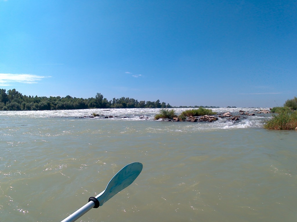 Day 36 Čunovo Danube Floodplains 11