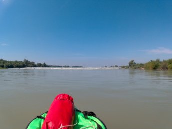 Day 36 Čunovo Danube Floodplains 12