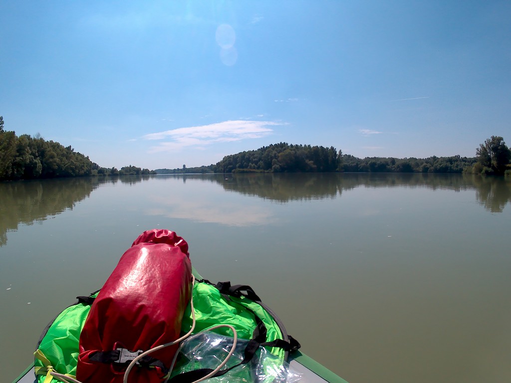 Day 36 Čunovo Danube Floodplains 13
