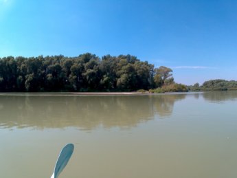 Day 36 Čunovo Danube Floodplains 14