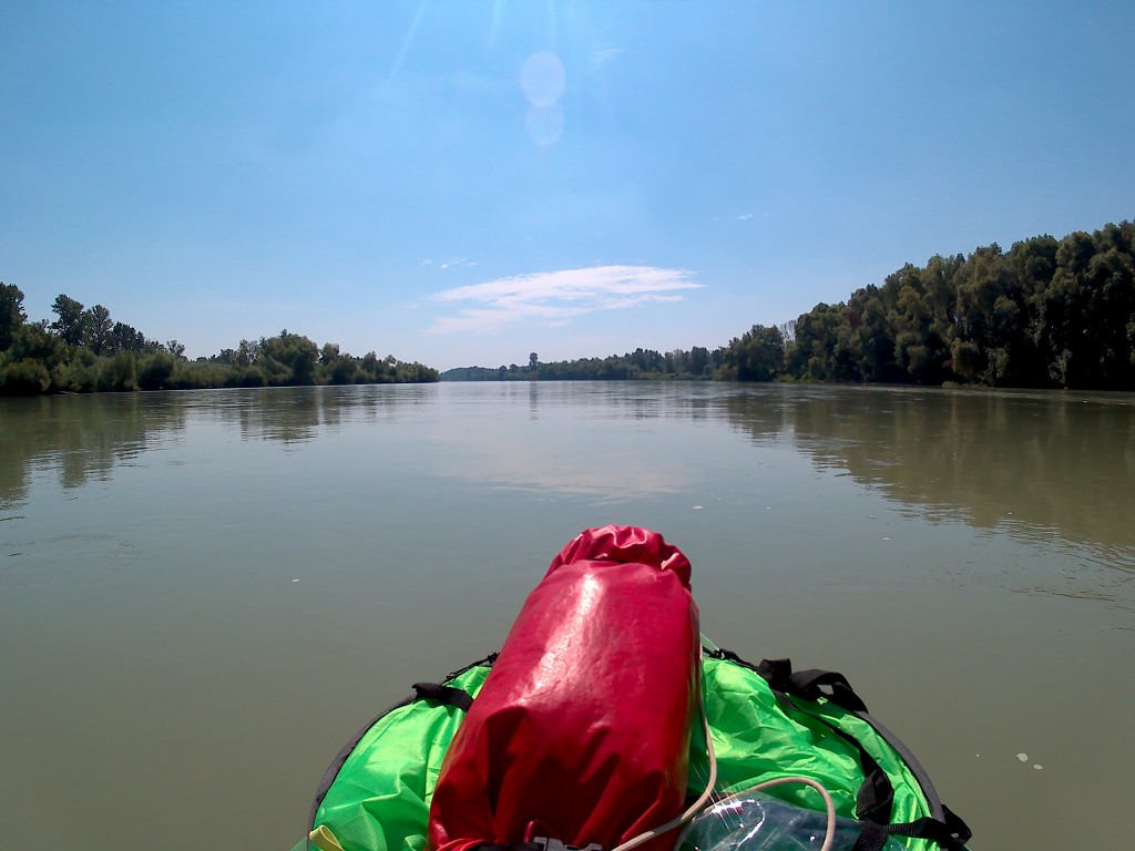 Day 36 Čunovo Danube Floodplains 15