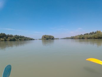 Day 36 Čunovo Danube Floodplains 16