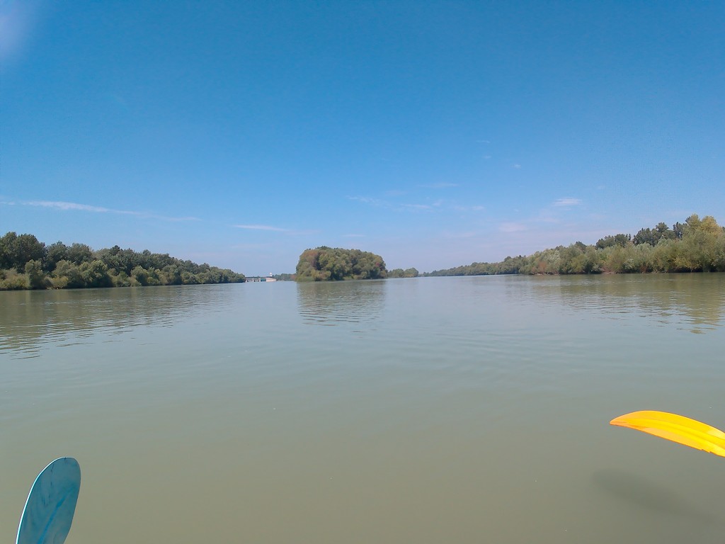 Day 36 Čunovo Danube Floodplains 16