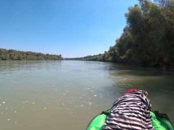 Day 36 Čunovo Danube Floodplains 20