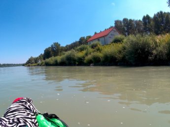 Day 36 Čunovo Danube Floodplains 21