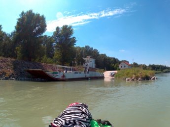 Day 36 Čunovo Danube Floodplains 23