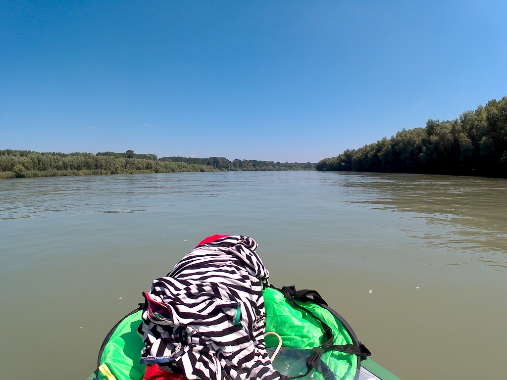 Day 36 Čunovo Danube Floodplains 24