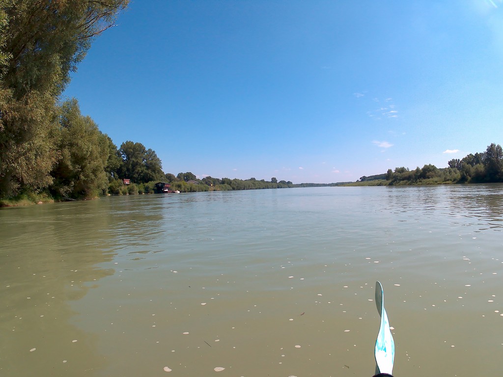 Day 36 Čunovo Danube Floodplains 26