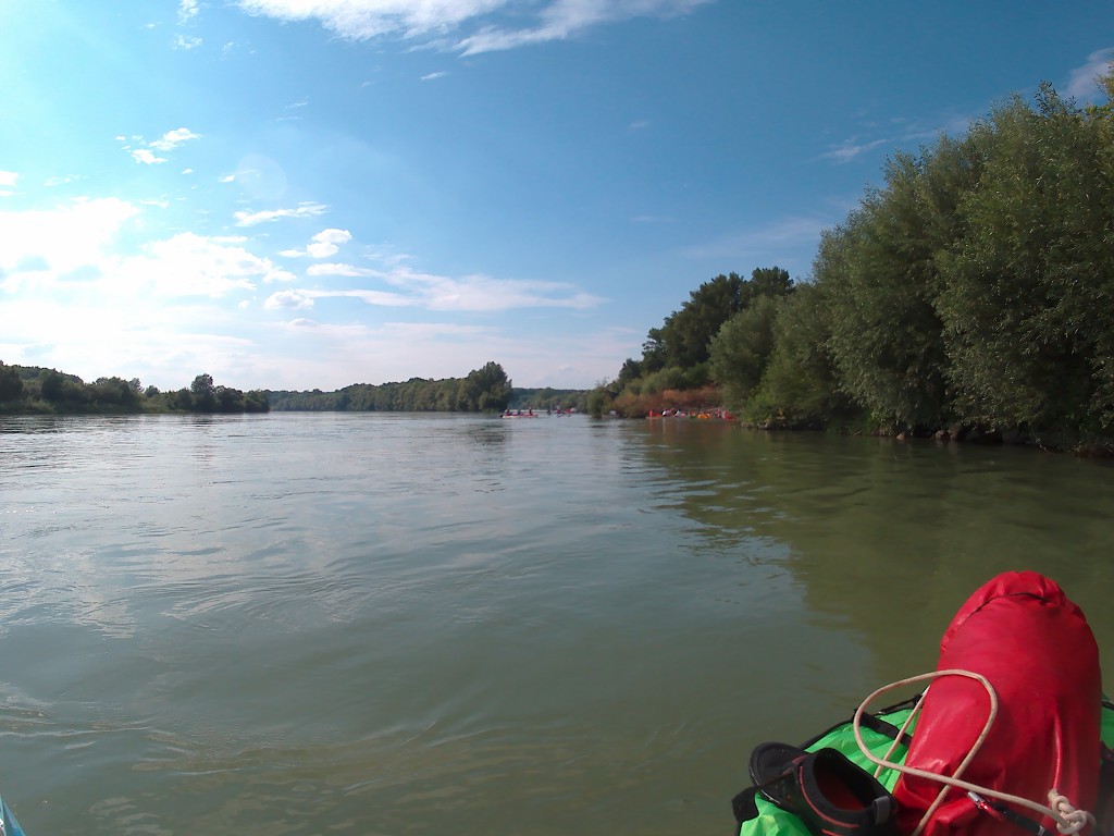 Day 36 Čunovo Danube Floodplains 28