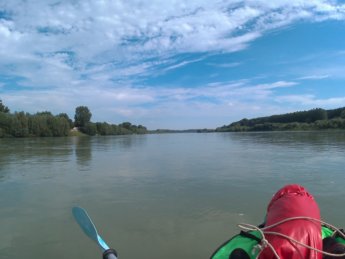 Day 36 Čunovo Danube Floodplains 29