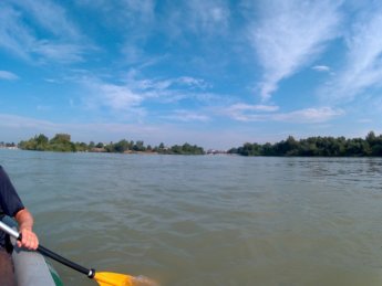 Day 36 Čunovo Danube Floodplains 4