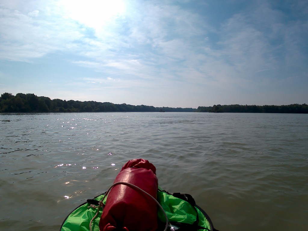 Day 36 Čunovo Danube Floodplains 5