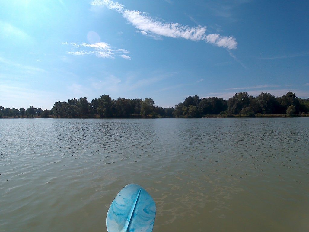 Day 36 Čunovo Danube Floodplains 6