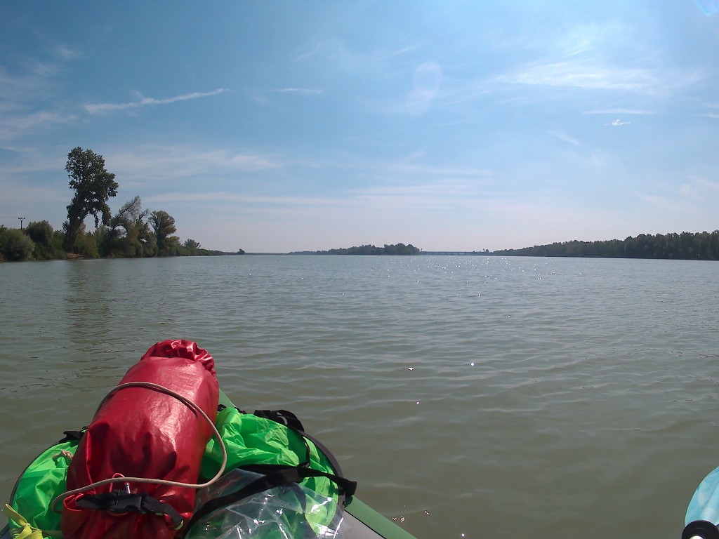 Day 36 Čunovo Danube Floodplains 8
