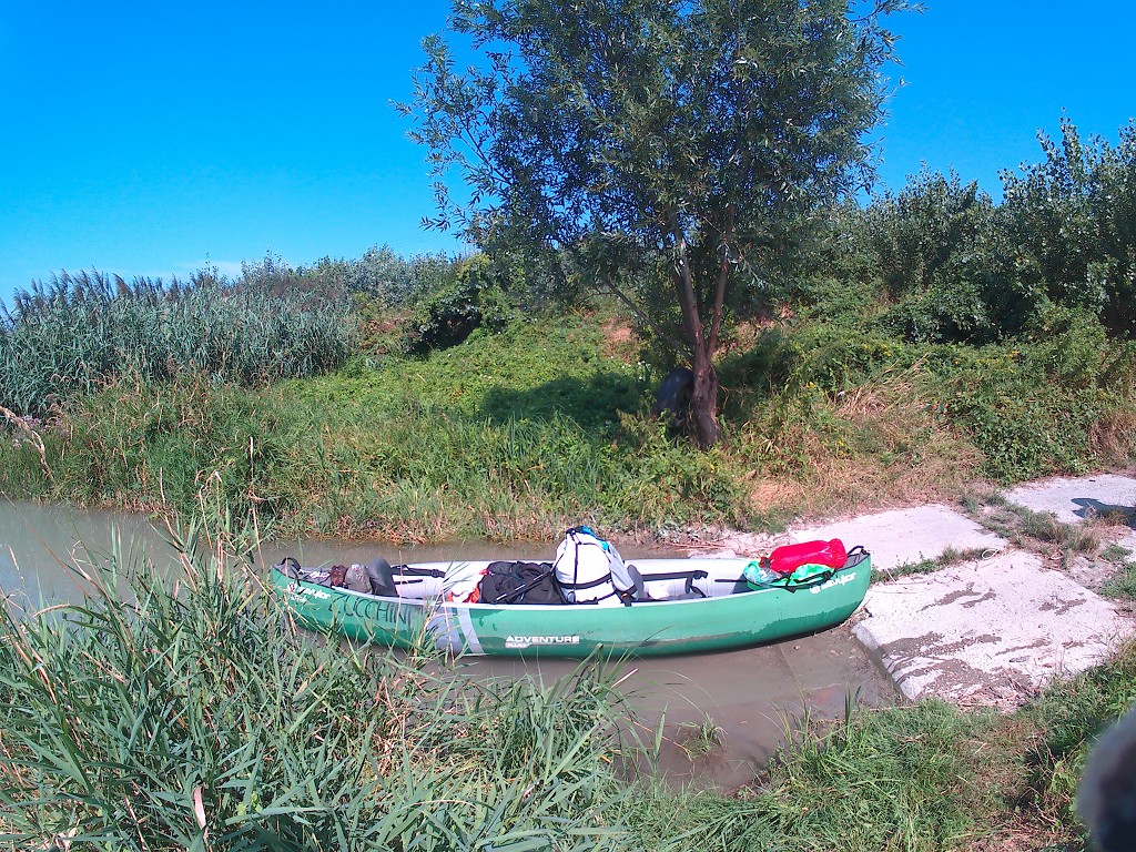 Day 36 Čunovo Danube Floodplains 9