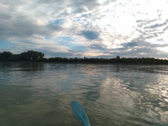 Day 37 - danube floodplains Gönyű kayak canoe Danube 11