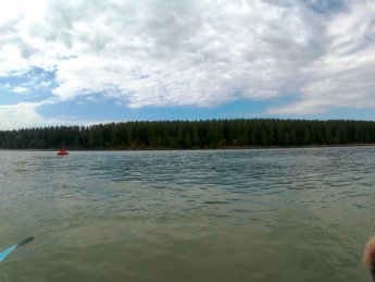 Day 37 - danube floodplains Gönyű kayak canoe Danube 21