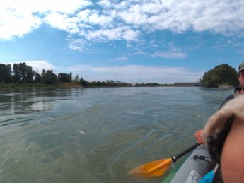 Day 37 - danube floodplains Gönyű kayak canoe Danube 23