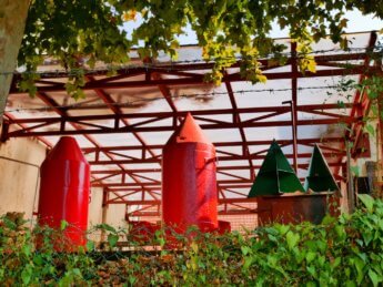 Baja buoy man Petofi island Hungary