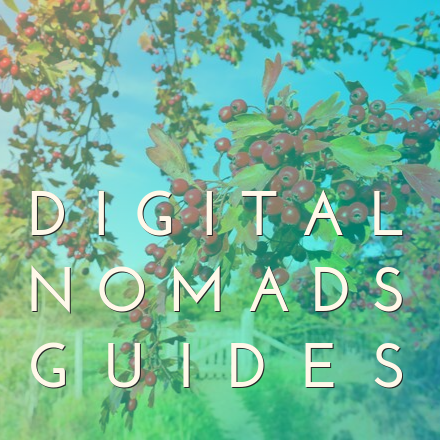 Books Digital Nomads Guides pic 1 fixed for real